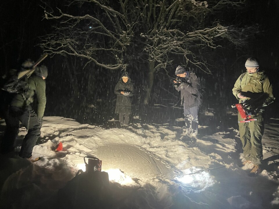 Da stor-avisa kom på besøk, kom også vinterens første snøfall. Normalt sett er snø til ulempe for jegerne, men akkurat denne gangen var bakken så kald og snøen så lett, at det gikk fint å koste den vekk. New York Times i Fredrikstad