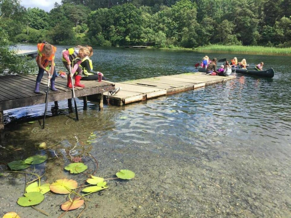 En dagstur i skogen, ved sjøen, eller til en innsjø, kan gi både rekreasjon og gode naturopplevelser, skriver innsenderne av debattinnlegget. Mandag starter billettsalget til årets Fiks ferigge ferie i regi av Stavanger kommune.