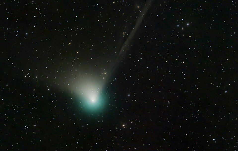 Den grønne kometen ved navn C/2022 E3 (ZTF) er på vei mot Norge. This handout picture obtained from the NASA website on January 6, 2022 shows the Comet C/2022 E3 (ZTF) that was discovered by astronomers using the wide-field survey camera at the Zwicky Transient Facility this year in early March. - A newly discovered comet is currently shooting through our Solar System for the first time in 50,000 years and could be visible to the naked eye as it whizzes past Earth and the Sun in the coming weeks, astronomers have said. Having travelled from the icy reaches at the edge of our Solar System, it will get the closest to the Sun on January 12 and pass nearest to Earth on February 1. (Photo by Dan Bartlett / NASA / AFP) / RESTRICTED TO EDITORIAL USE - MANDATORY CREDIT 'AFP PHOTO / NASA / Dan Bartlett ' - NO MARKETING NO ADVERTISING CAMPAIGNS - DISTRIBUTED AS A SERVICE TO CLIENTS