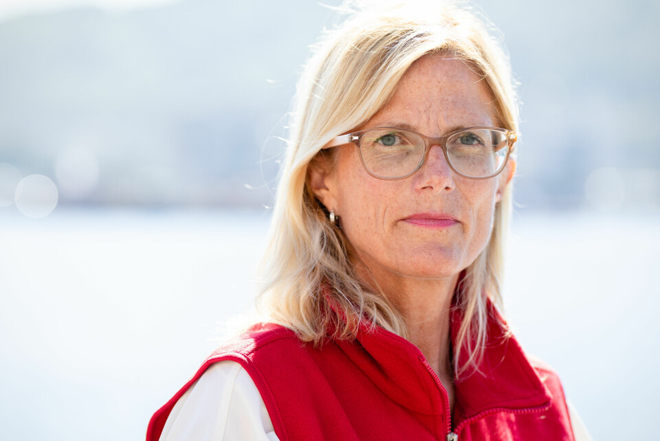 - Jemen er et godt eksempel på en krig glemt i medieoppmerksomheten, som absolutt ikke er glemt av de som lever med den, sier generalsekretær i Redd Barna, Birgitte Lange. Generalsekretær Birgitte Lange i Redd Barna håper at Ukraina-krisen kan bidra til en økt forståelse for flyktninger og kriser i andre deler av verden. Arkivfoto: Audun Braastad / NTB