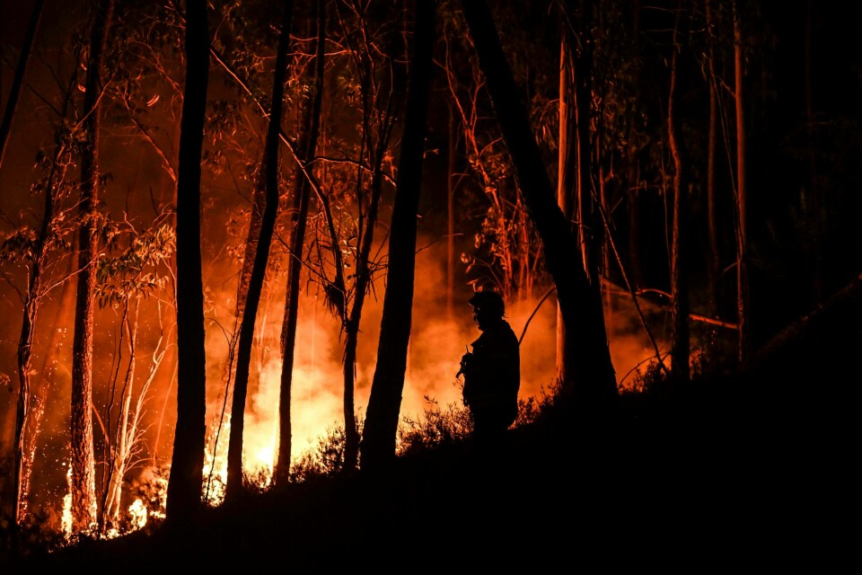 Mer enn 3.000 brannfolk og over 60 slukkefly kjemper mot flere skogbranner i Portugal. 29 personer er skadd av flammene. Mer enn 3.000 brannfolk og over 60 slukkefly kjemper mot flere skogbranner i Portugal. 29 personer er skadd av flammene.