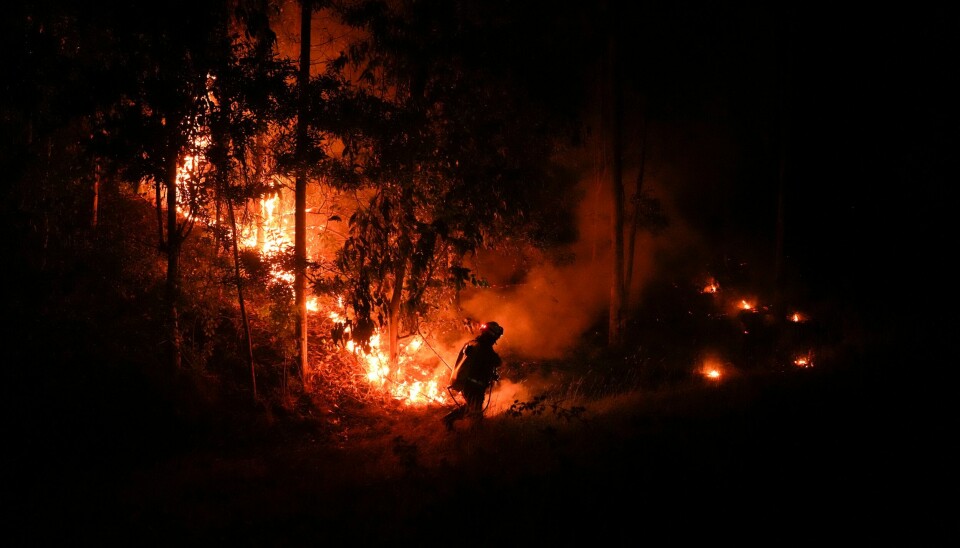 Flere skogbranner i Chile har ført til unntakstilstand i tre regioner. Foto: Matias Delacroix / AP / NTB Flere skogbranner i Chile har ført til unntakstilstand i tre regioner. Foto: Matias Delacroix / AP / NTB