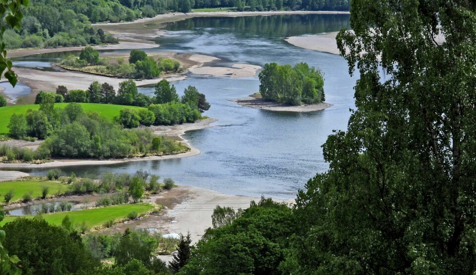 I dette området skal den planlagte brua over Lågendeltaet naturreservat bygges. I dette området skal den planlagte brua over Lågendeltaet naturreservat bygges.