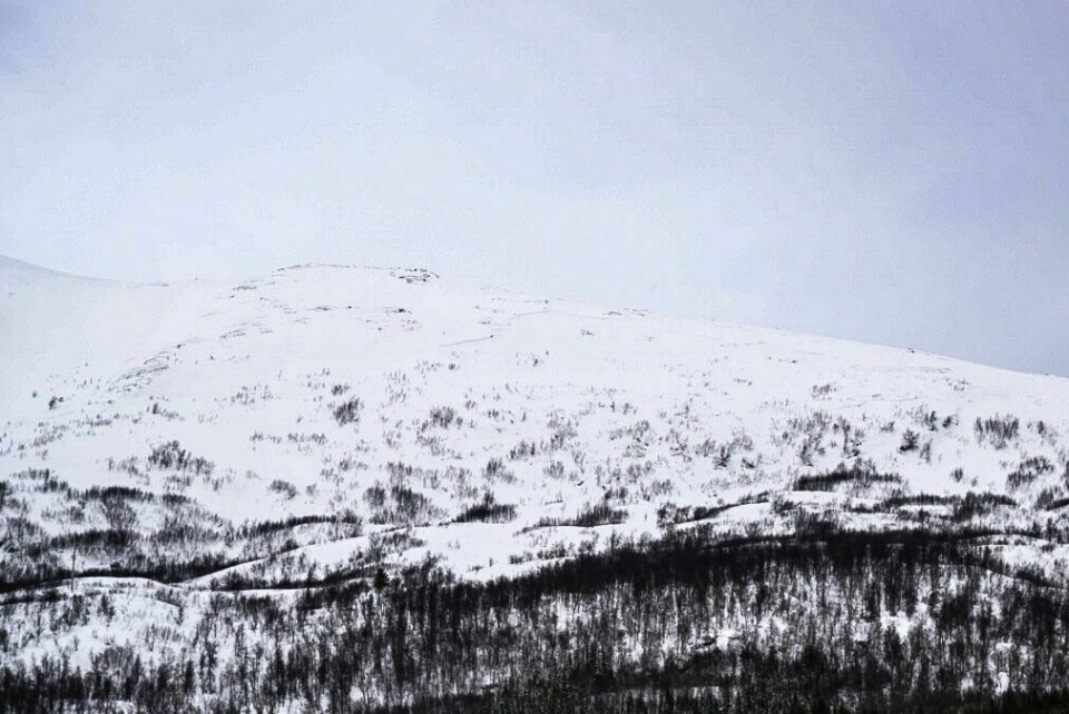 Det er meldt stor snøskredfare i Lyngen og Nord-Troms fra søndag ettermiddag. Her fra Lyngen i Troms i april i fjor. Det er meldt stor snøskredfare i Lyngen og Nord-Troms fra søndag ettermiddag. Her fra Lyngen i Troms i april i fjor.