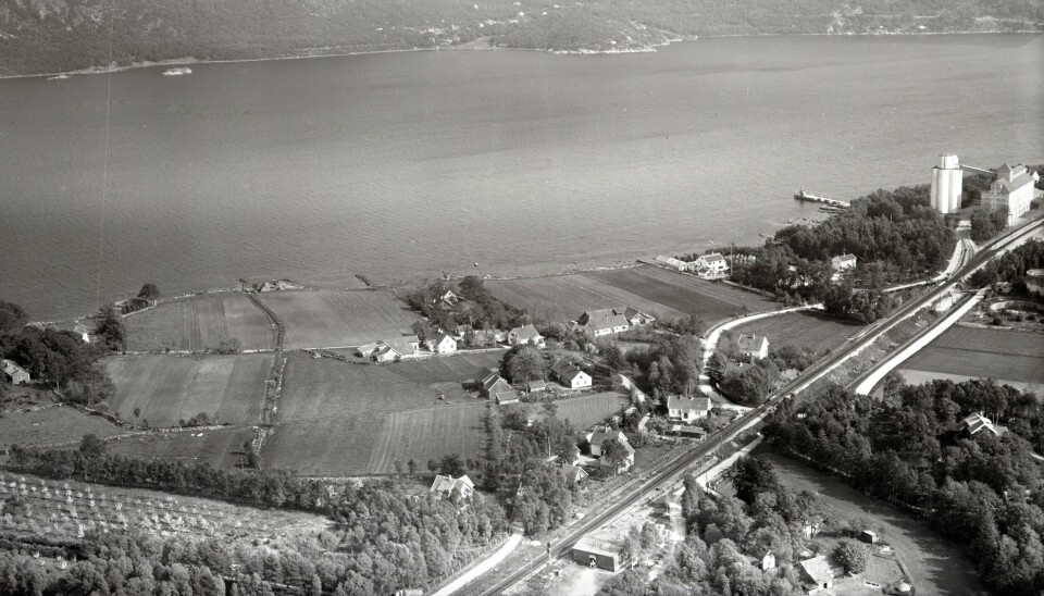 Emil Abrahamsen var kjent for sine jærmalerier og bodde ganske landlig til på Forus. Statens forsøksgård i midten av høyre billedkant.Rogaland Felleskjøps kornmagasin til høyre. Nærmest fjorden huset til dr. Kaltvedt. Gårdene midt på bildet til høyre fra høyre: Ingvald Forus, Olav Bøe og Ole Forus nærmest. Til høyre for Oddahagen huset til Jens Forus. Nedenfor Olav Bøe, huset til Bjørg Nessler Haug. Mot jernbanelinjen huset til Emil Abrahamsen. Byhistorie