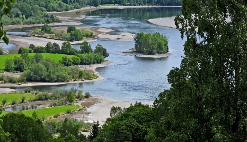 I dette området skal den planlagte brua over Lågendeltaet naturreservat bygges. I dette området skal den planlagte brua over Lågendeltaet naturreservat bygges.