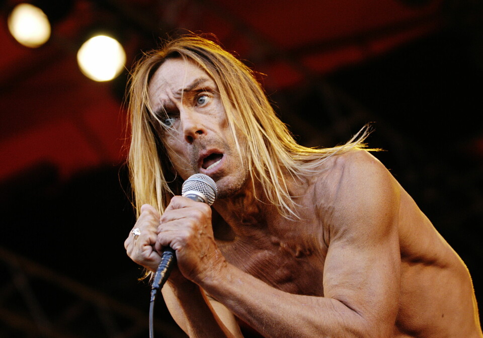 Iggy Pop kommer til Stockholm i mai for å få Polarprisen på en million kroner. Her på Roskildefestivalen i 2004. Iggy Pop kommer til Stockholm i mai for å få Polarprisen på en million kroner. Her på Roskildefestivalen i 2004.