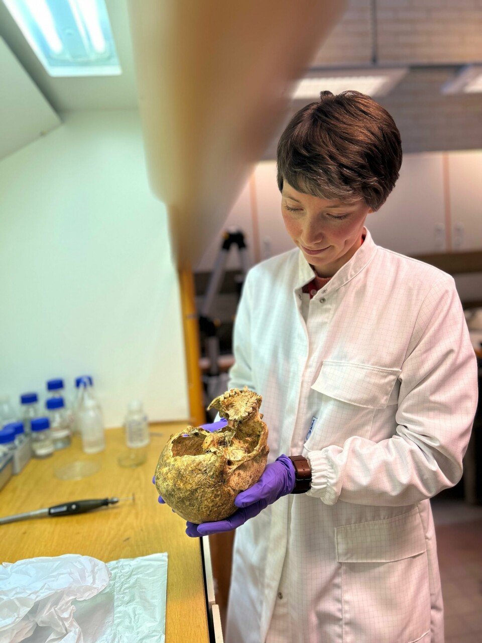 Forsker Hege Hollund ved Arkeologisk museum, Universitetet i Stavanger leder utgravningen utenfor Stavanger Domkirke. Her analyserer hun en hodeskalle. Forsker Hege Hollund ved Arkeologisk museum, Universitetet i Stavanger leder utgravningen utenfor Stavanger Domkirke. Her analyserer hun en hodeskalle.