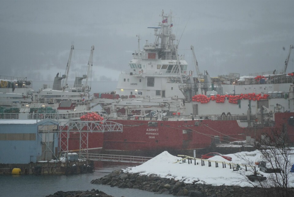 Havna i Kirkenes er en av tre havner i Nord-Norge som er åpen for russiske fiskefartøy. Det er mange av dem. Havna i Kirkenes er en av tre havner i Nord-Norge som er åpen for russiske fiskefartøy. Det er mange av dem.
