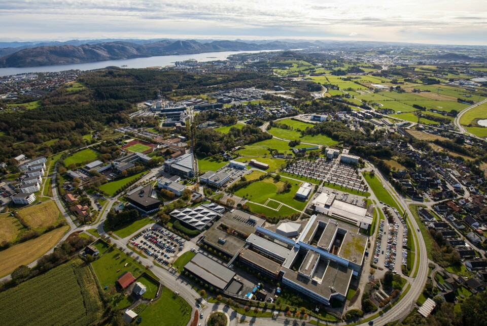 UiS klager etter avslag på psykologisøknad. Universitetet reagerer på flere ting. UiS klager etter avslag på psykologisøknad. Universitetet reagerer på flere ting.