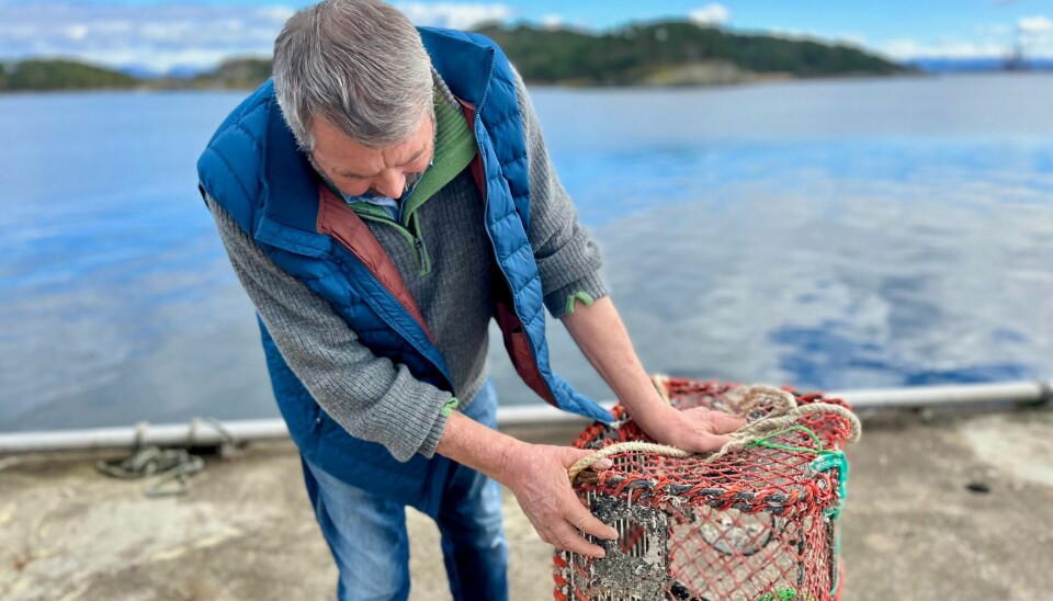 Hummeren er utsatt for et stort fiskepress. I Stavanger kommune var det 1734 påmeldte til hummerfisket i 2022. Tor Bernhard Harestad