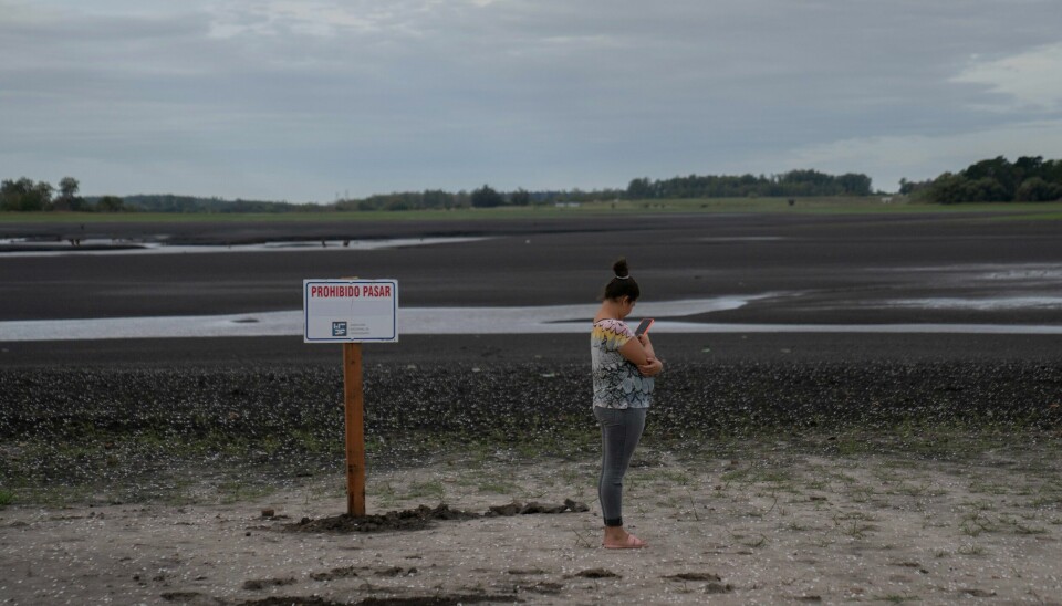 En kvinne tar bilder på den uttørkede bunnen av demningen Canelon Grande, som forsyner Uruguays hovedstad Montevideo med drikkevann. Foto: Matilde Campodonico / AP / NTB En kvinne tar bilder på den uttørkede bunnen av demningen Canelon Grande, som forsyner Uruguays hovedstad Montevideo med drikkevann. Foto: Matilde Campodonico / AP / NTB