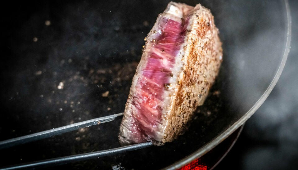 MDG at nordmenn skal kutte halvparten av kjøttinntaket. Her stekes en biff tataki. MDG at nordmenn skal kutte halvparten av kjøttinntaket. Her stekes en biff tataki. Foto: Ole Berg-Rusten / NTB