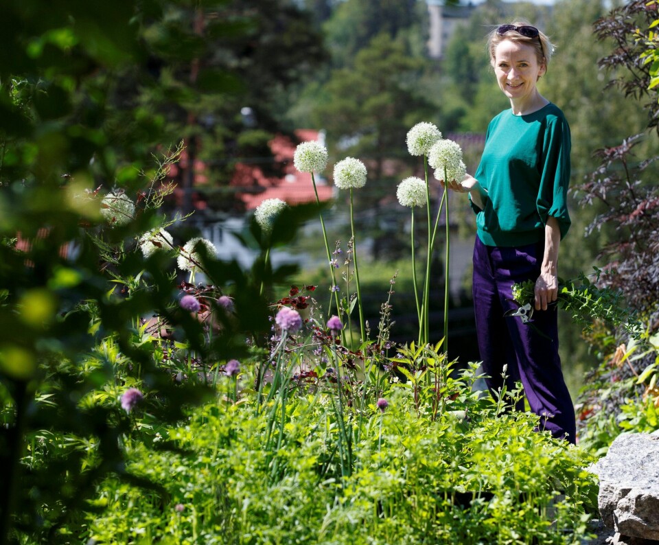 MATPLANTER: Anne Havåg Holter-Hovind har dedikert et helt område i hagen til spiselige planter. ALLE FOTO: HEIKO JUNGE/NTB SCANPIX MATPLANTER: Anne Havåg Holter-Hovind har dedikert et helt område i hagen til spiselige planter. ALLE FOTO: HEIKO JUNGE/NTB SCANPIX