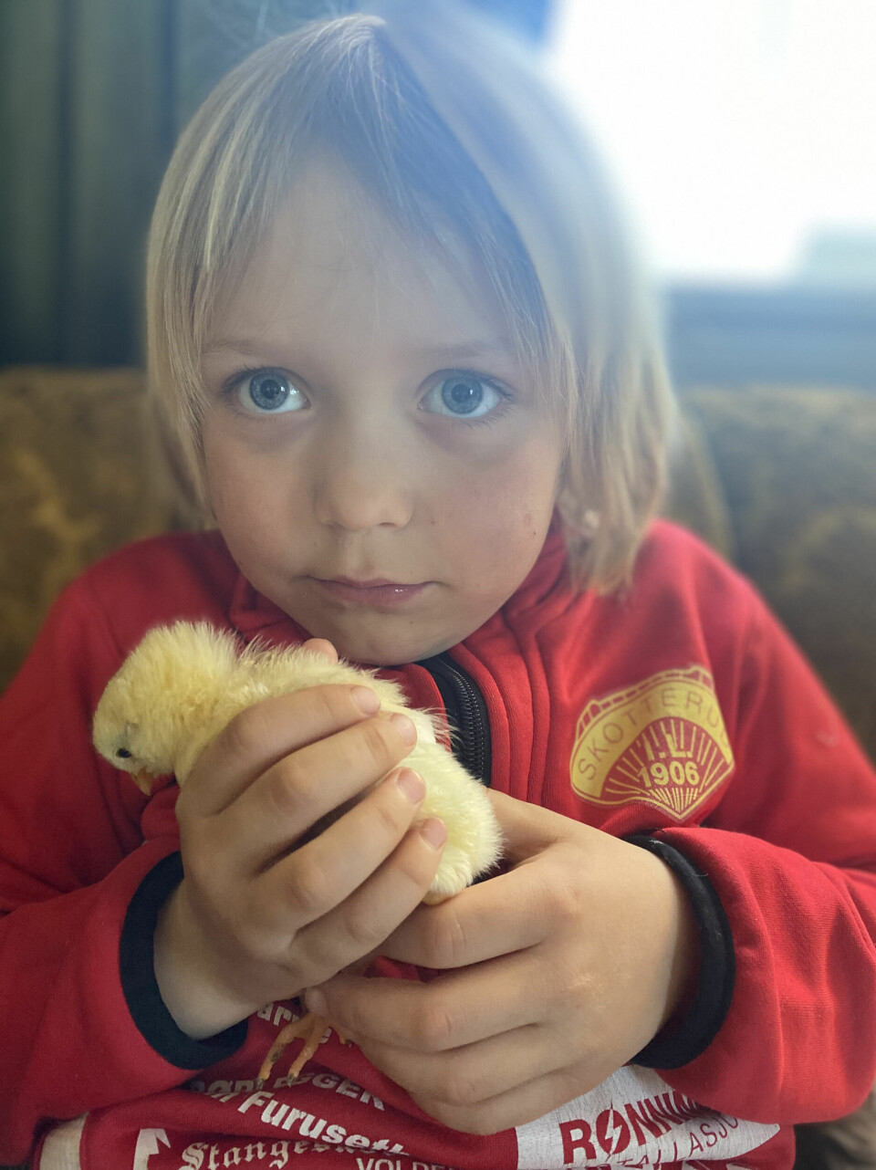 Konrad (7) elsker å kose med nykomlingene. Konrad (7) elsker å kose med nykomlingene.