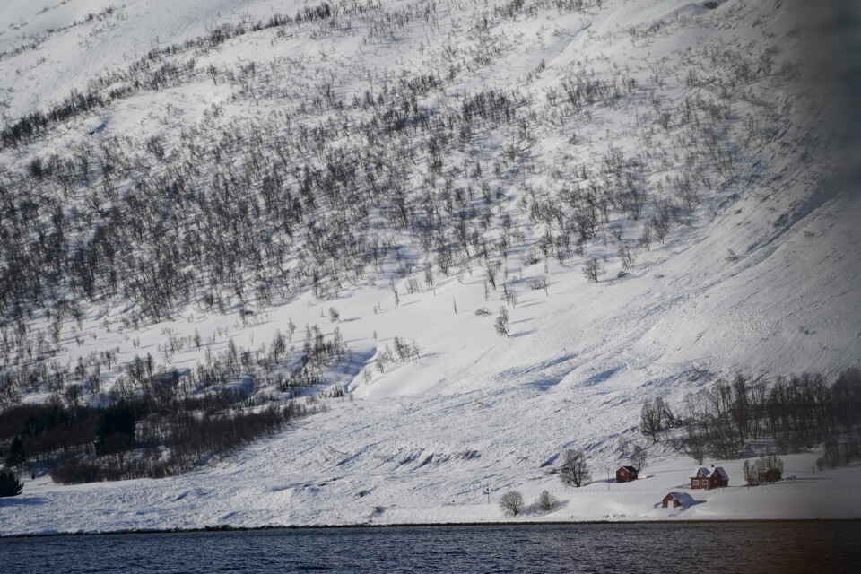 I palmehelga mistet fire personer livet, etter at det gikk flere alvorlige snøskred i Troms og Finnmark. På Reinøya omkom to personer. Flere personer mistet livet fredag, og flere skred har gått i Nord-Norge i løpet av helgen. Her fra Reinøya.Foto: Terje Pedersen / NTB