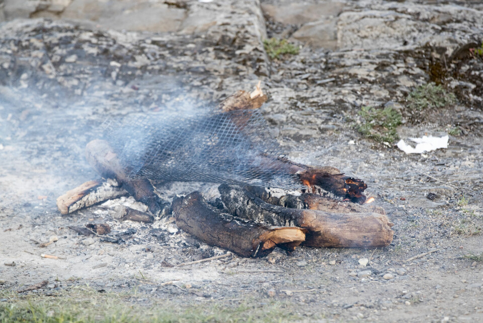 Et lite bål kan sørge for store skader nå som det et er tørt i skog og mark. Det generelle bålforbudet er laget for å forhindre store branner i en periode av året der faren for gress- og skogbranner er stor. Foto: Terje Pedersen / NTB
