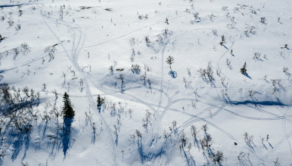 Miljødirektoratet har anmeldt flere hundre tilfeller av ulovlig snøskuterkjøring de seneste årene, og også i fjor gjaldt de fleste av politianmeldelsene slik aktivitet. Miljødirektoratet har anmeldt flere hundre tilfeller av ulovlig snøskuterkjøring de seneste årene, og også i fjor gjaldt de fleste av politianmeldelsene slik aktivitet.