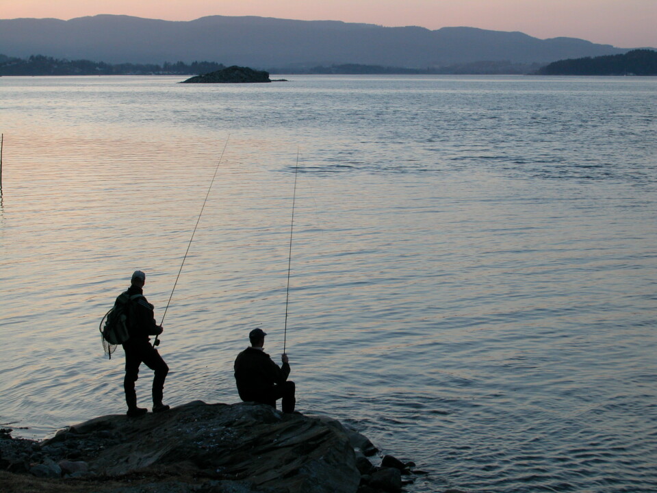 Fritidsfiske er en populær aktivitet i Norge, men langt fra all fisking skjer på en reglementert måte, konstaterer Miljødirektoratet. Fiskere må blant annet forholde seg til at det er minstemål for en rekke fiskeslag. Fritidsfiske er en populær aktivitet i Norge, men langt fra all fisking skjer på en reglementert måte, konstaterer Miljødirektoratet. Fiskere må blant annet forholde seg til at det er minstemål for en rekke fiskeslag.