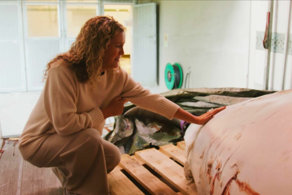 Leder Regina Haug i OneWhale ved hvalkroppen til hvithvalen Hvaldimir som ble funnet død lørdag. Leder Regina Haug i OneWhale ved hvalkroppen til hvithvalen Hvaldimir som ble funnet død lørdag. Foto: OneWhale.org / handout / NTB