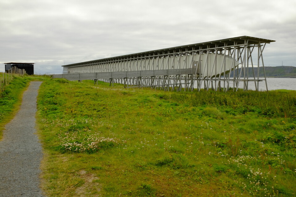 Minnesmerket på Steilneset i Vardø fra 2011 til minne om de 91 trolldomsdømte som mistet livet under hekseprosessene i Øst-Finnmark mellom 1600 og 1663, nitten i kjedeprosessen 1662-1663. Kunstner Louise Bourgeois og arkitekt Peter Zumthor. I Minnehallen henger det minnetavler skrevet av historiker Liv Helene Willumsen, basert på rettsdokumentene. Langstrakt stillas-aktig installasjon utendørs.