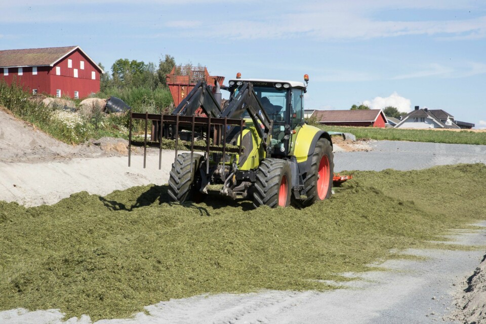 Illustrasjonsfoto. Illustrasjonsfoto: Terje Bendiksby / NTB