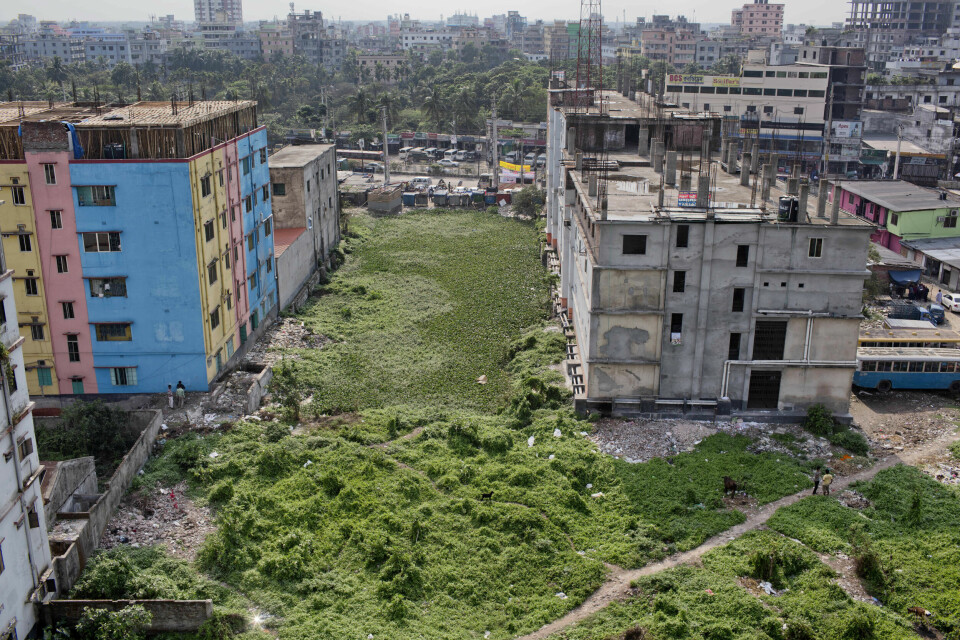 Overgrodde busker dekker området der klesfabrikken Rana Plaza sto før den kollapset. Overgrodde busker dekker området der klesfabrikken Rana Plaza sto før den kollapset.