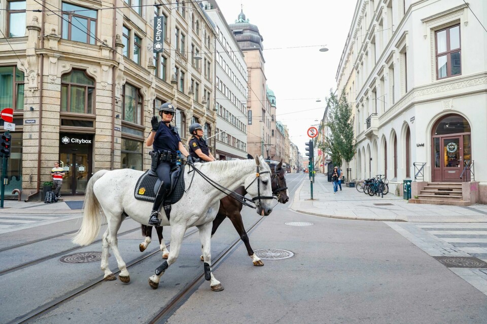 Politi til hest er opplevelsen av trygghet, ro og stabilitet – hva mer kan vi ønske oss, skriver Henrik Andersson. Bildet er fra Oslo sentrum. Ridende politi i Oslo