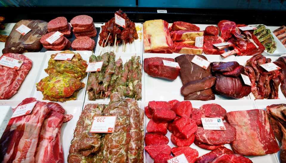 Det kan bli aktuelt for nordmenn å kutt kjøttforbruket kraftig. Det jobbes nå med nye kostholdsråd. Det kan bli aktuelt for nordmenn å kutt kjøttforbruket kraftig. Det jobbes nå med nye kostholdsråd. Foto: Gorm Kallestad / NTB