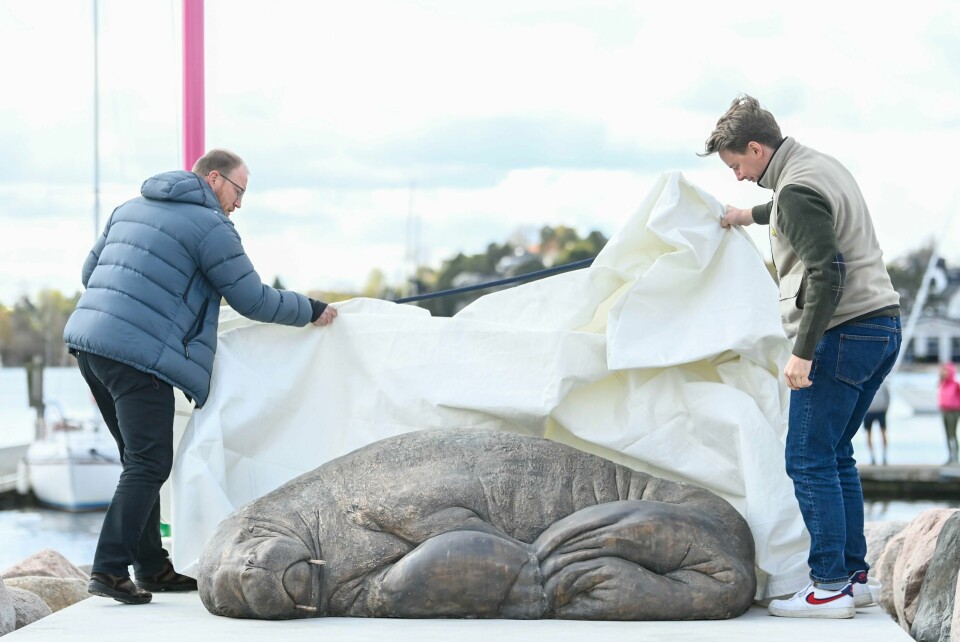 Erik Holm (til høyre) avduket Freya-statuen sammen med biolog Rune Aae. Oslo 20230429. Hvalrosekspert Rune Aae t.v. og initiativtager Erik Holm er tilstede under avdukning av skulpturen som står i Kongen Marina ved Frognerkilen. Freya blev avlivet av Fiskeridirektoratet i august 2022. Grunnen var at publikum ikke fulgte anbefalingene fra myndighetene om å holde avstand til det 600 kilo tunge dyret.