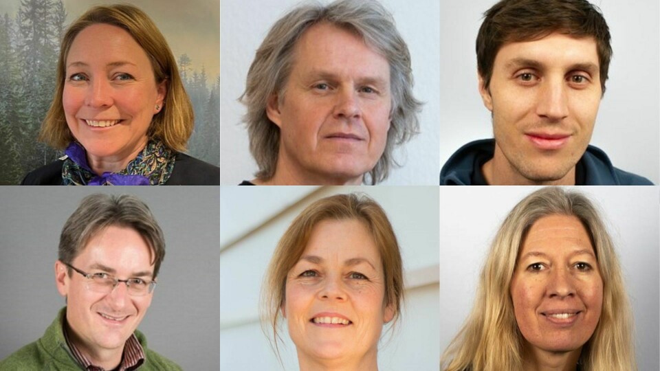 Øverst f.v: Lajla Tunaal White, Vegard Gundersen og Zander Venter. Nederst f.v: David N. Barton, Helene Figari og Kristin Thorsrud Teien – alle fra Norsk institutt for naturforskning (NINA). Øverst f.v: Kristin Thorsrud Teien, Vegard Gundersen og Zander Venter. Nederst f.v: David N. Barton, Helene Figari og Lajla Tunaal White – alle fra Norsk institutt for naturforskning (NINA).