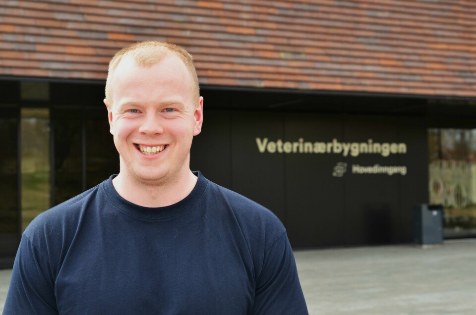 Anders Brøten Lillemoe ønsker å kombinere gårdsdrift med egen veterinærpraksis. Hjemme på Tynset. Anders Brøten Lillemoe