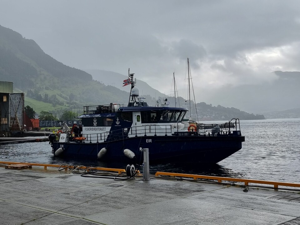 Også Fiskeridirektoratet var blant de mange som var involvert i fjorårets ryddeaksjon i Hardangerfjorden. Også Fiskeridirektoratet var blant de mange som var involvert i fjorårets ryddeaksjon i Hardangerfjorden.