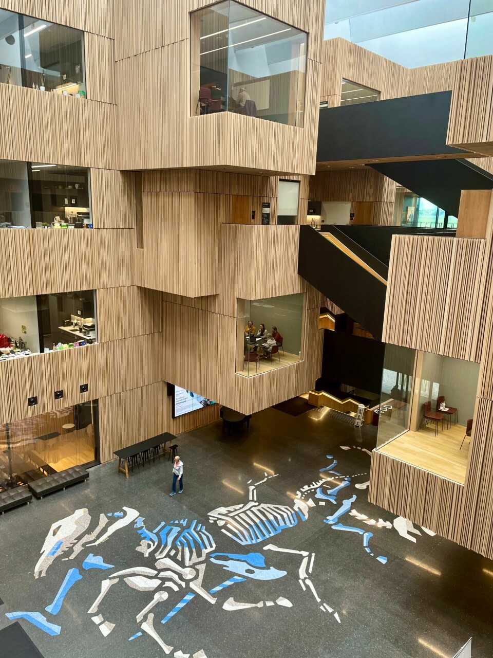 Våren 2021 flyttet Veterinærhøgskolen fra Adamstuen i Oslo til Ås. Våren 2021 flyttet Veterinærhøgskolen fra Adamstuen i Oslo til Ås.