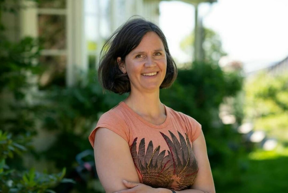 Vibeke Heiberg Knagenhjelm er pedagog og kunstner. Vibeke Heiberg Knagenhjelm er pedagog og kunstner.