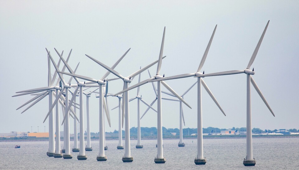 – Utbygging av havvind er en elefant i rommet, skriver innleggsforfatterne. Bildet viser vindmøller i Øresund mellom København og Malmö. Vindmøller i Øresund mellom København og Malmö.