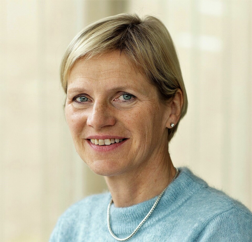 Berit Time er sjefforsker i Sintef. Berit Time er sjefforsker i Sintef.