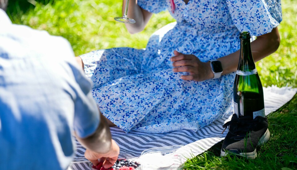 Her bryter noen loven under årets 17. maifeiring i Slottsparken i Oslo. Her bryter noen loven under årets 17. maifeiring i Slottsparken i Oslo. Foto: Heiko Junge / NTB