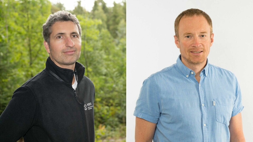 Johannes Breidenbach (t.v.), avdelingsleder Landsskogtakseringen i NIBIO – Norsk Institutt for Bioøkonomi og Bjørn Håvard Evjen, divisjonsdirektør Skog og utmark i NIBIO. Johannes Breidenbach (t.v.), avdelingsleder Landsskogtakseringen i NIBIO – Norsk Institutt for Bioøkonomi og Bjørn Håvard Evjen, divisjonsdirektør Skog og utmark i NIBIO.