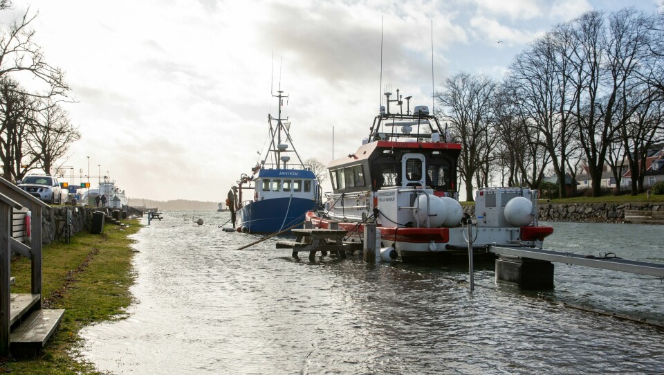 Stormflo oppstår når påvirkning fra været gjør vannstanden ekstra høy. Det skjedde blant annet i Moss i februar 2020. Stormflo oppstår når påvirkning fra været gjør vannstanden ekstra høy. Det skjedde blant annet i Moss i februar 2020. Her fra Kanalen, som vokste med flere meter denne dagen.