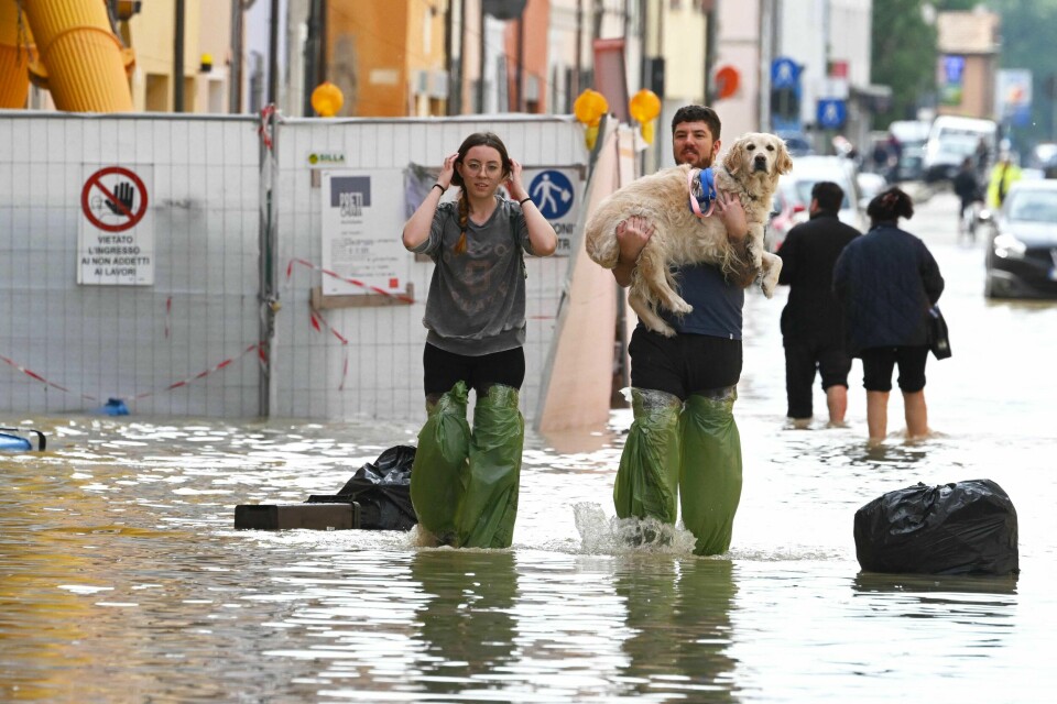 Store mengder regn førte nylig til flom i regionen Emilia-Romagna i Nord-Italia, som her i byen Lugo. Pedestrians hold their dog in a flooded street in the town of Lugo on May 18, 2023, after heavy rains caused flooding across Italy's northern Emilia Romagna region. Rescue workers searched on May 18, 2023 for people still trapped by floodwaters in northeast Italy as more residents were evacuated after downpours which killed nine people and devastated homes and farms. (Photo by Andreas SOLARO / AFP)