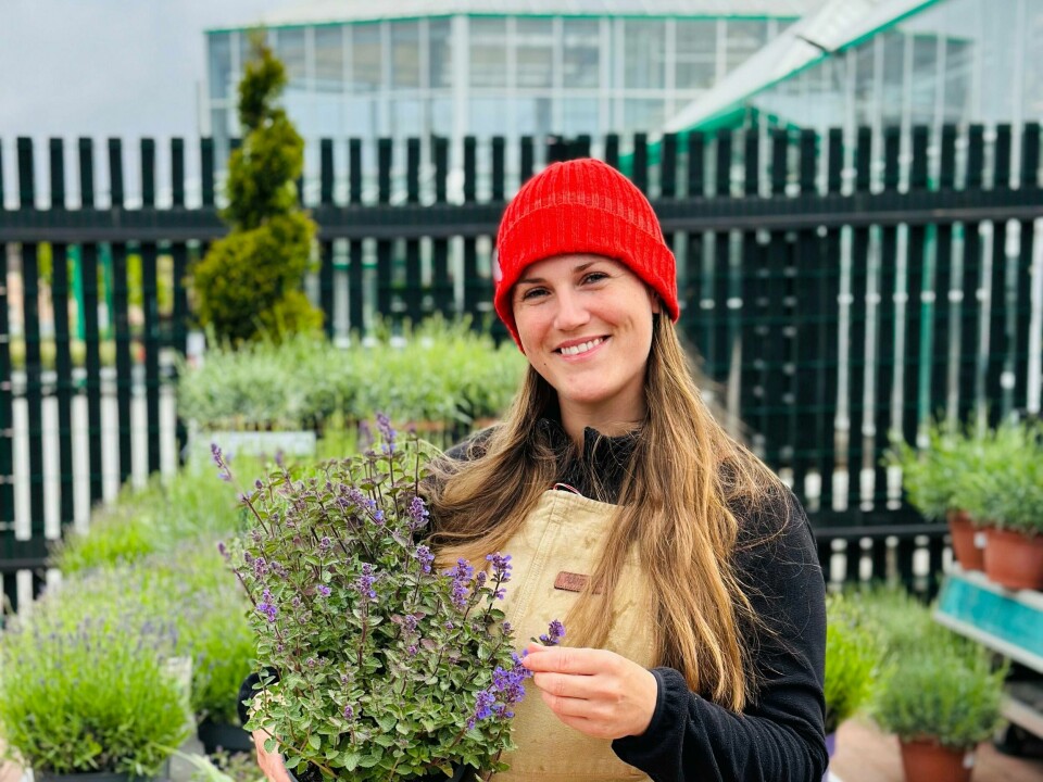 Sabine de Boer, assisterende varehussjef ved Plantasjen Sabine de Boer, assisterende varehussjef ved Plantasjen