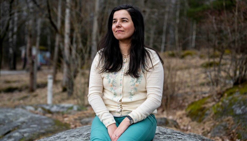 Zaineb Al-Samarai kan bli valgt til ny president i Norges idrettsforbund søndag. Zaineb Al-Samarai kan bli valgt til ny president i Norges idrettsforbund søndag.