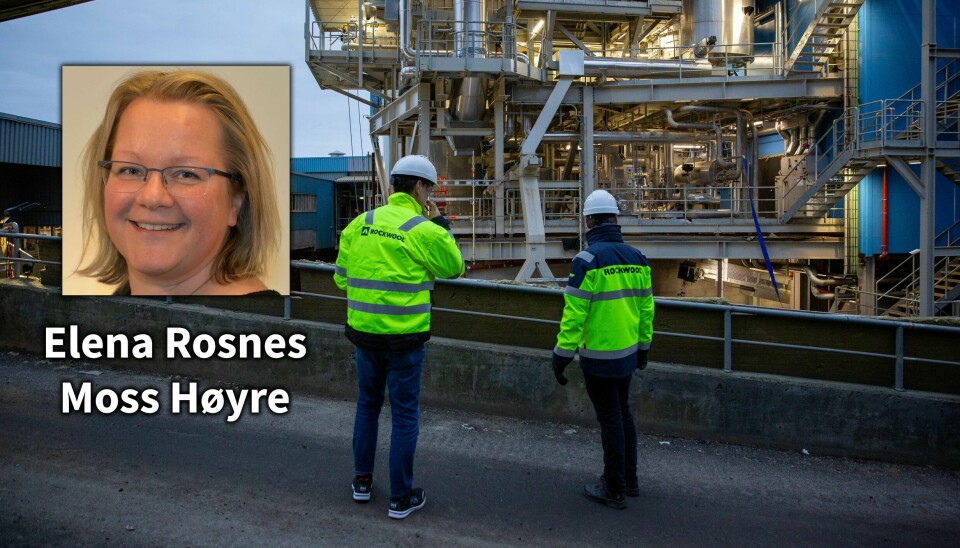 Arbeidsgivere må se nytten av å videreutdanne egne ansatte, skriver Elena Rosnes. Arbeidsgivere må se nytten av å videreutdanne egne ansatte, skriver Elena Rosnes.