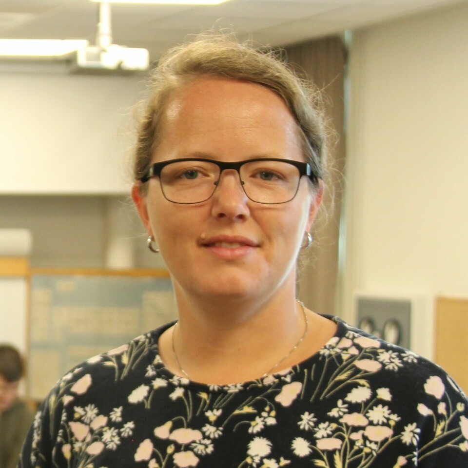 Anne Berit Bjønnum er leder i Tekna realfagslærerne og lektor i fysikk. Anne Berit Bjønnum er leder i Tekna realfagslærerne og lektor i fysikk.
