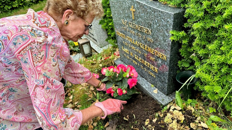 Wenche Klemetsen er raskt med å kjøpe nye blomster etter tyveriene. Her planter hun ved graven til svigerforeldrene. Wenche Klemetsen er raskt med å kjøpe nye blomster etter tyveriene. Her planter hun ved graven til svigerforeldrene.