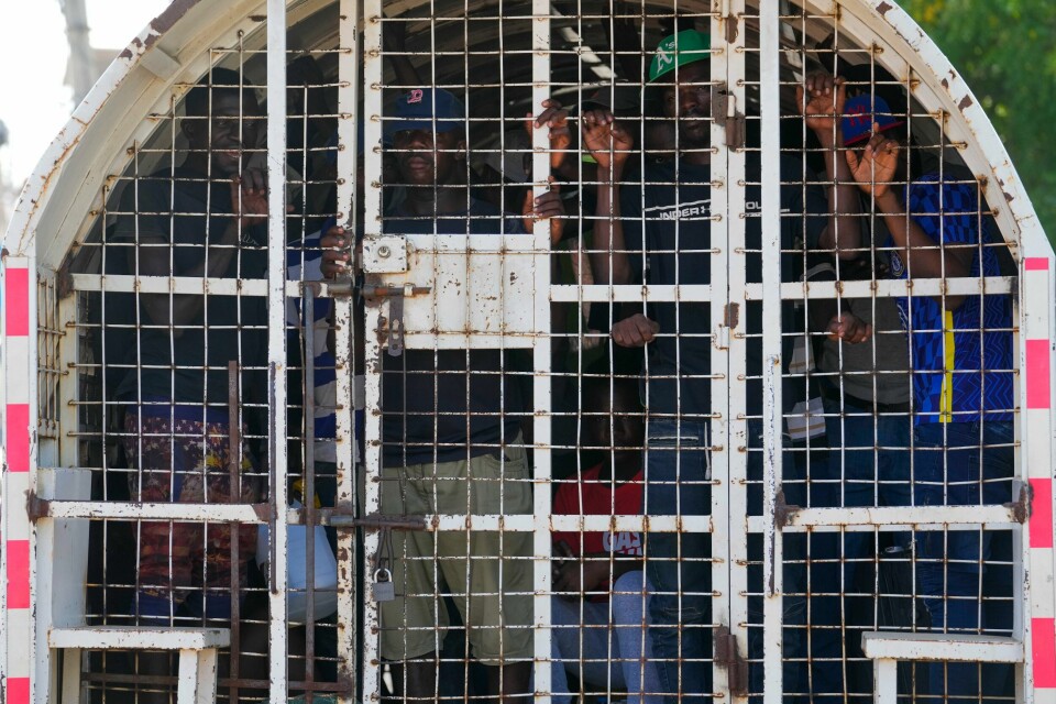 Papirløse haitiere står inne i et politikjøretøy i Dajabon i Den dominikanske republikk. Papirløse haitiere står inne i et politikjøretøy i Dajabon i Den dominikanske republikk. Foto: Matias Delacroix / AP / NTB