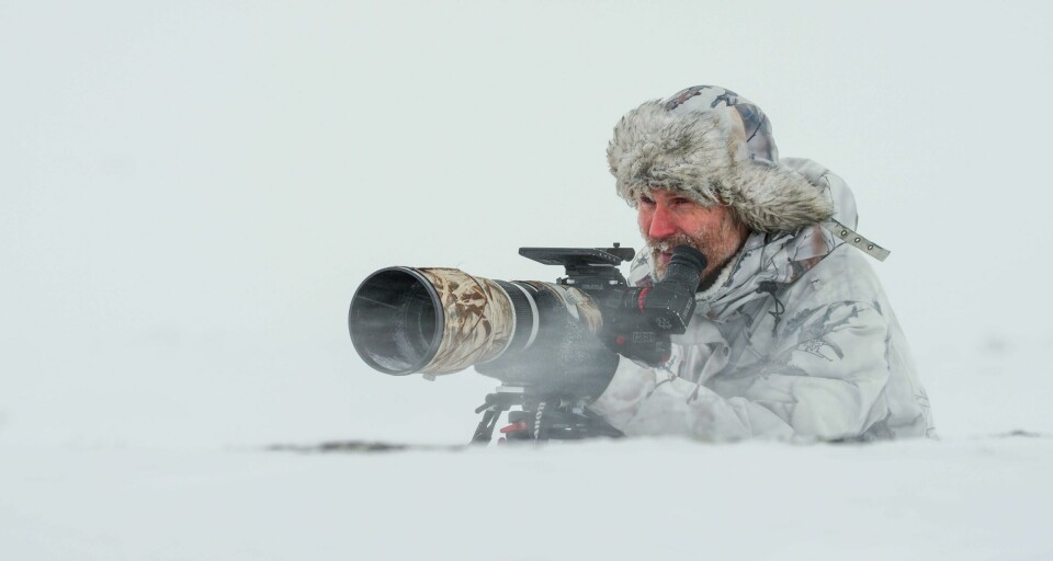 Naturfilmfotografen Asgeir Helgestad (bildet) står bak kinodokumentaren «Skal hilse fra naturen», som vinner internasjonale priser. Naturfilmfotografen Asgeir Helgestad (bildet) står bak kinodokumentaren «Skal hilse fra naturen», som vinner internasjonale priser. Foto: Norsk Filmdistribusjon/ Handout / NTB