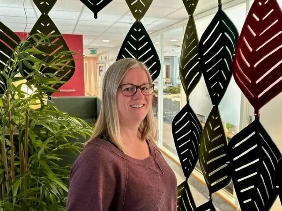 Silje Haraldsen er Nav-veilederen til Grete Marion Kroken. Godordene sitter løst når de snakker om hverandre. Silje Haraldsen er Nav-veilederen til Grete Marion Kroken. Godordene sitter løst når de snakker om hverandre.