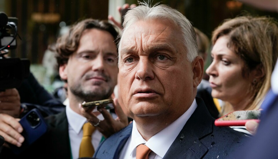 Viktor Orban ønsker handel med både EU og Kina. Han er skeptisk til innføring av straffetoll på kinesiske elbiler. Viktor Orban ønsker handel med både EU og Kina. Han er skeptisk til innføring av straffetoll på kinesiske elbiler. Foto: Luca Bruno / AP / NTB